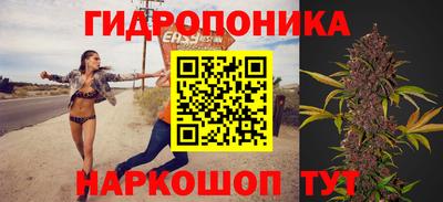 мет Новозыбков